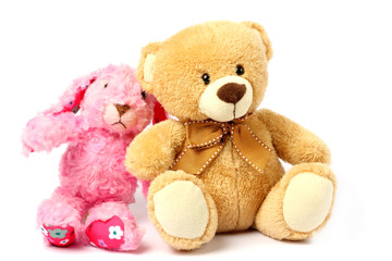 toy teddy isolated on white background