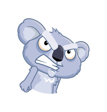 Feisty Koala