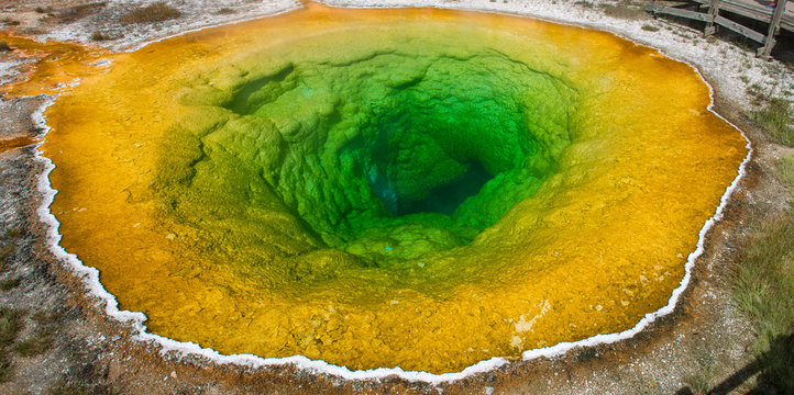 The Morning Glory Pool, Yellowstone National Park