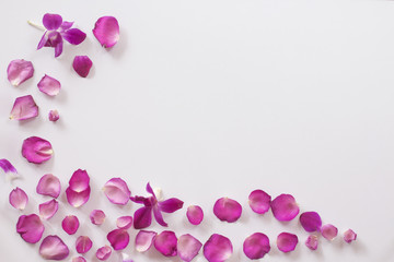 Fototapeta na wymiar background of pink rose petals and orchid ﬂower. top view,