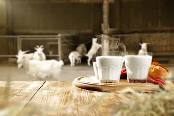 goat milk 