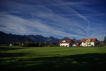 Houses on meadow