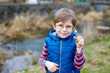 Cute blond preschool kid boy discovering first spring flowers, beautiful snowdrops