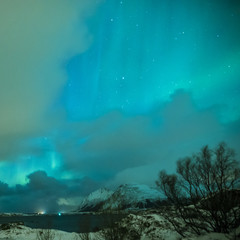 Picturesque Unique Nothern Lights Aurora Borealis Over Lofoten Islands in Nothern Part of Norway.