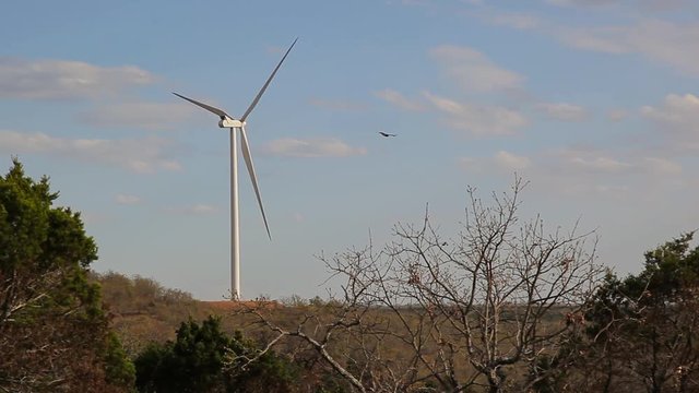 Wind Turbine Spinning on a hill