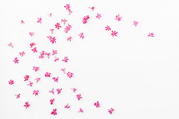Flowers composition. Frame made of hyacinth flowers on white background. Flat lay, top view
