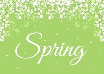 Spring background with blooming flowers