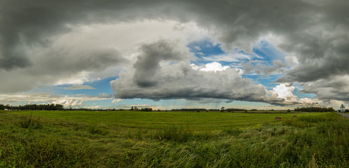 Wheat fields. Sunny summer landscape. Beautiful massive clouds. Stormy clouds. Panorama.