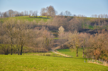 Campagne Isérois (Tullins)