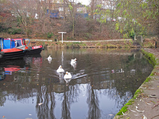 December misty morning walk around Sowerby Bridge collection