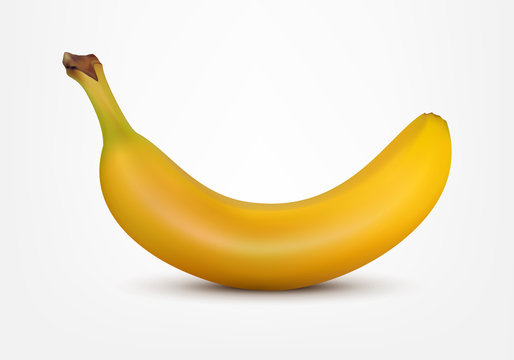 Banana in a realistic style vector illustration isolated on whit