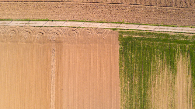 Natura e paesaggio: vista aerea di un campo, coltivazione, prato verde, campagna, agricoltura, 