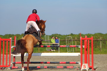 Saut d'obstacle lors d'un concours hippique