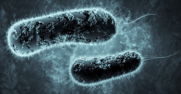 Digital 3D illustration of bacteria