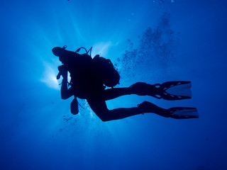 Diver above