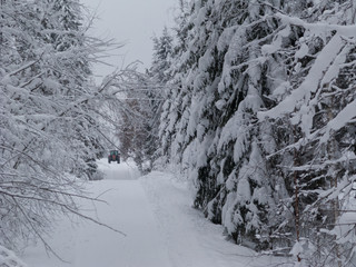 Nordische Winterlandschaft © ArcticMonkey