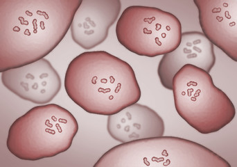 Abstract illustration in microscopic view of various bacteria cells
