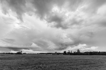 Fototapeta premium Wheat fields. Sunny summer landscape. Beautiful massive clouds. Stormy clouds.