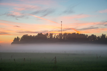 Green field at dusk with fog or mist. Nature landscape panorama.