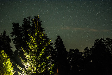 Falling stars. Night sky with meteors.