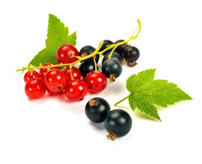 black currants with leaves