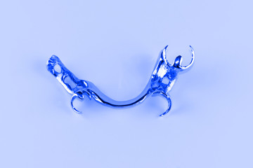new dentures on a white background