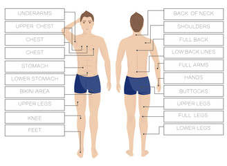 Laser hair removal male zones. Area body depilation Men. Front and back
