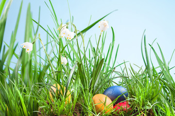 spring snowflake in the grass and Easter eggs