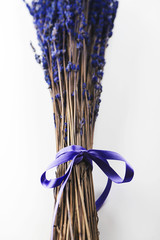 Obraz na płótnie Canvas Branches of blue flower tied by a blue bow.