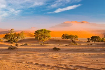 Poster Im Rahmen Sanddünen in der Namib-Wüste im Morgengrauen, Roadtrip im wunderschönen Namib-Naukluft-Nationalpark, Reiseziel in Namibia, Afrika. Morgenlicht, Nebel und Nebel. © fabio lamanna