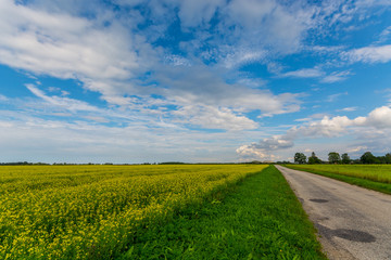 Green autumn fields with massive stormy clouds. Nature landscape.