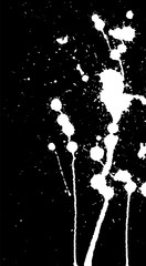 Obraz premium Ink splash, strokes and stains background. Paint splatter. White blots on black. Abstract black and white vector illustration. Grunge template. 