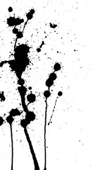 Ink splash, strokes and stains background. Paint splatter. Black blots on white. Abstract black and white vector illustration. Grunge template. 