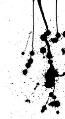 Ink splash, strokes and stains background. Paint splatter. Black blots on white. Abstract black and white vector illustration. Grunge template. 