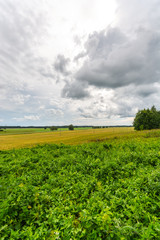 Green autumn fields with massive stormy clouds. Nature landscape. 