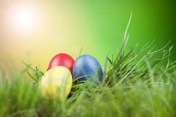Easter colored eggs in the grass