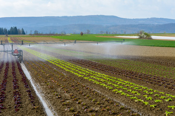 Agrarbetrieb in der Landwirtschaft 