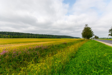 Green autumn fields with massive stormy clouds. Nature landscape. 