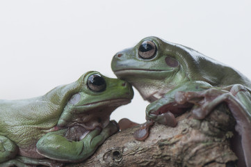 Romantic
