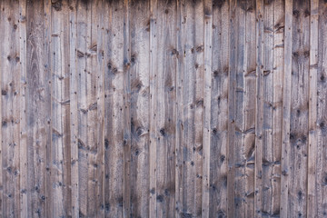 trä textur bakgrund abstrakt