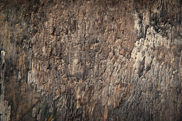 old wooden board, background