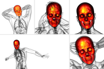 3d rendering medical illustration of the skull © maya2008