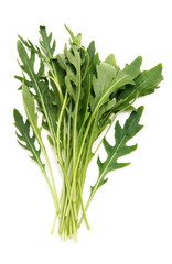 Fototapeta premium Fresh arugula leaves. Isolated on white background.