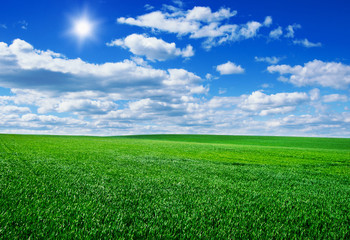 Image of green grass field and bright blue sky