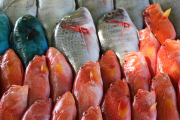 Moontail Sea Brass / At the fish market of Grand Baie, Mauritius a vendor sells fresh fish from the...