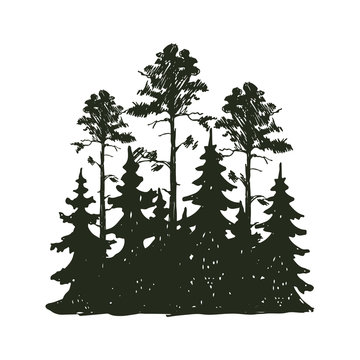 Tree outdoor travel black silhouette coniferous natural badge, tops pine spruce branch cedar and plant leaf abstract stem drawing vector illustration.