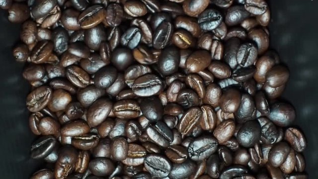 Coffee beans footage