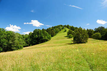 Das Zeller Horn (Aussichtspunkt Burg Hohenzollern)