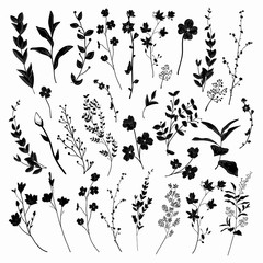 Black Drawn Herbs, Plants and Flowers. Vector Illustration