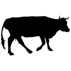 Black silhouette of cash cow on white background
